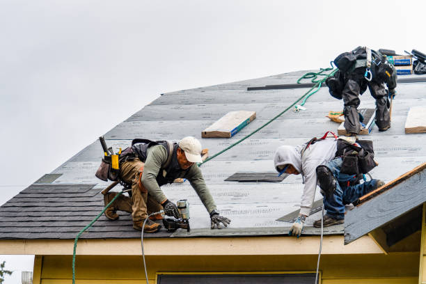 Professional Gutter Installation technician working in Ottine, TX